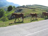 Calendario Estate 2014 - Le proposte di BellAbruzzo in collaborazione con Bellandare