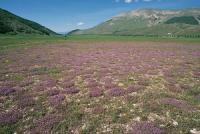 A SPASSO PER L'ABRUZZO:TOUR DAL MARE ALLA MONTAGNA ALLA SCOPERTA DEI SAPORI 