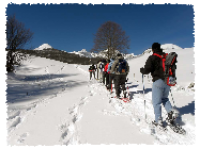 ESCURSIONE GIORNALIERA CON LE CIASPOLE NEL PARCO NAZIONALE D’ABRUZZo